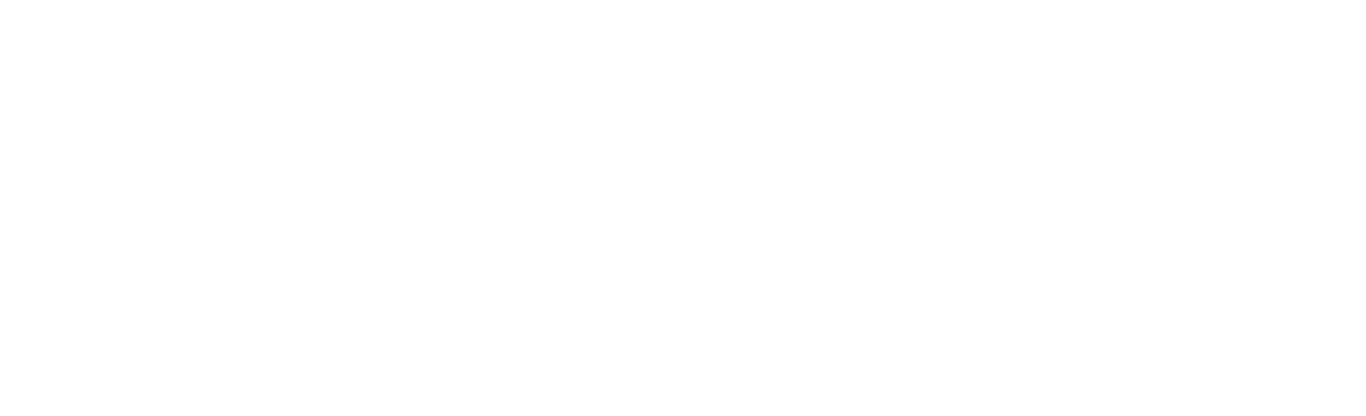 adeptaudio
